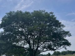 -汉长安城未央宫国家考古遗址公园