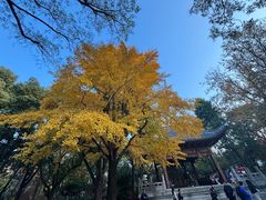 -汇龙潭