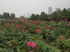 -咸阳湖景区-统一广场