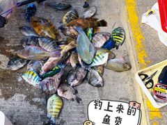 -海南分界洲岛旅游区