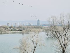 -西安浐灞国家湿地公园
