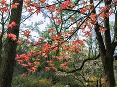 -岳麓山风景名胜区