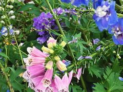 -人民公园(罗湖区)