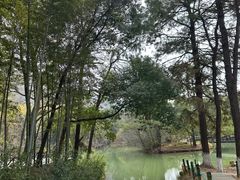 -宝岩生态观光园