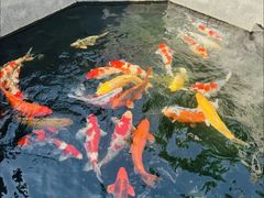-西安市广仁寺