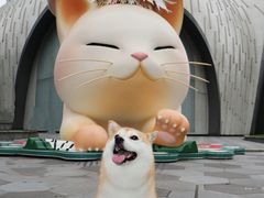 -上海尚嘉中心