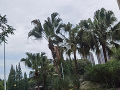 -温江公园