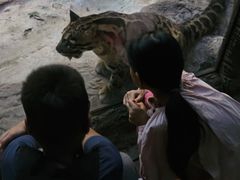 -清迈夜间动物园