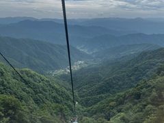 -王顺山国家森林公园