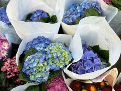 -循礼门鲜花花市(武汉循礼门店)