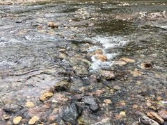 -白河湾生态旅游一条川