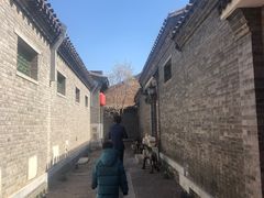 -宛平九号