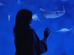 -暹罗海洋世界