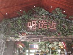 -呀诺达热带雨林