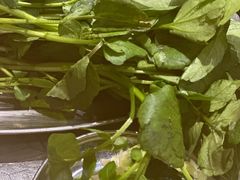 -楠波炭炉鸡煲馆(桥北店)