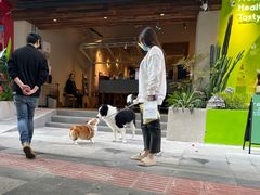 -Jeans Coffee牛仔裤咖啡