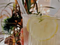 -森Some Fusion(荔湾店)