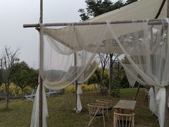 -紫颐香薰山谷景区