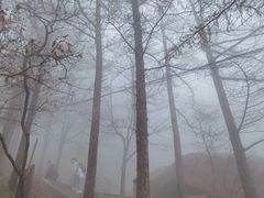 -崂山巨峰游览区