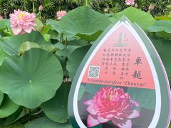 -广州莲花山旅游区