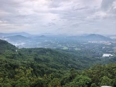 -呀诺达热带雨林