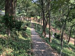 -平湖九龙山旅游度假区