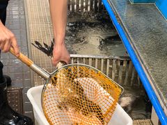 -老船舫·现做活鲜鱼馆(东郊记忆店)