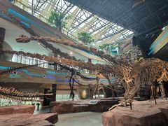 -安徽省地质博物馆