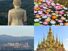 -西双版纳勐泐文化旅游区
