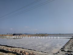 -莺歌海盐场