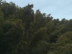 -浙东第一尖雪山欢乐谷