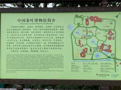 -中国茶叶博物馆(双峰馆区)