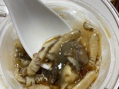 -安海长火土笋冻