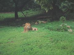 -西安秦岭野生动物园