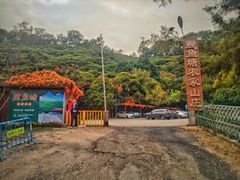 -鲤鱼塘农家山庄