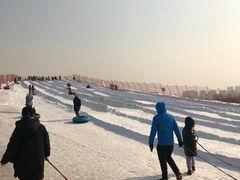 -丁香湖丁香小镇Citypark滑雪公园戏雪嘉年华