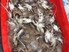 -芦潮港集贸市场