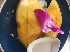 -Jungle Kitchen