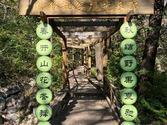 -大岭沟猕猴桃谷风景区