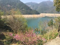 iphone_upload_pic-浙东大峡谷风景区