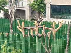 -沈阳森林动物园
