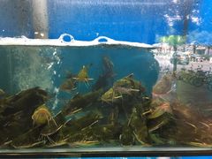 -老村长土菜馆(湖墅南路店)