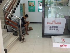 -创凡宠物医院·骨专科  猫科中心(西乡分院)