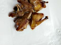 -鸽王世家(东华东路店)