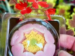 -稻香村(观前街店)