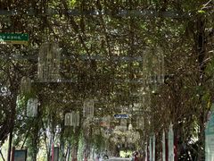 -武汉紫薇都市田园