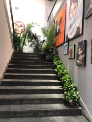 -重道造型