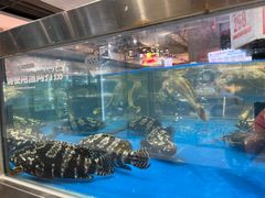 -盒马鲜生(龙德广场店)