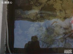 -泉乐坊步行街(烟酒特产平价超市店)