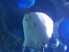 -多彩贵州城极地海洋世界